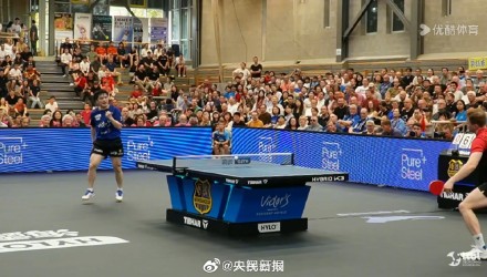 教练指导 教练指导